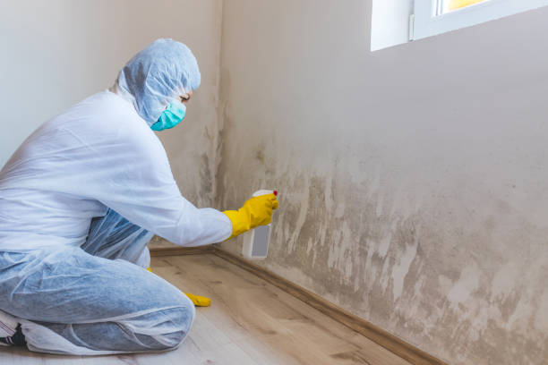 Licensed Mold Cleanup service in Clarksburg, MD - WQB Mold Removal