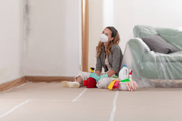 Reliable Mold Cleanup contractor in Clarksburg, MD by WQB Mold Removal